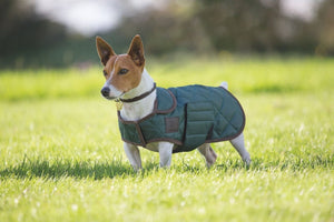 Digby & Fox Heritage Dog Coat - Forest - L