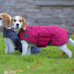 Digby & Fox Heritage Dog Coat - Forest - L