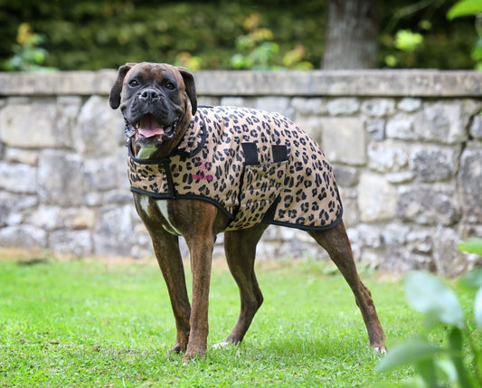 Digby & Fox Leopard Print Dog Coat - Leopard Print - L