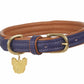 Digby & Fox Padded Leather Dog Collar - Aqua - L