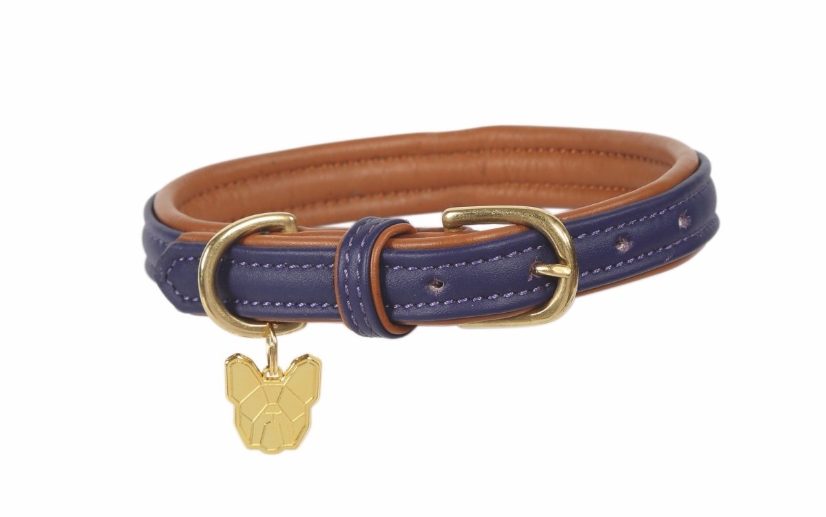 Digby & Fox Padded Leather Dog Collar - Aqua - L