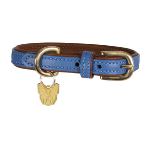 Digby & Fox Padded Leather Dog Collar - Aqua - L