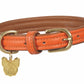 Digby & Fox Padded Leather Dog Collar - Aqua - L