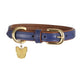 Digby & Fox Padded Leather Dog Collar - Aqua - L