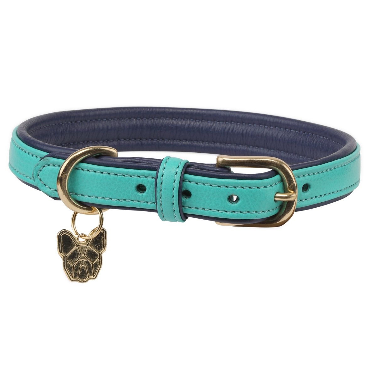 Digby & Fox Padded Leather Dog Collar - Aqua - L