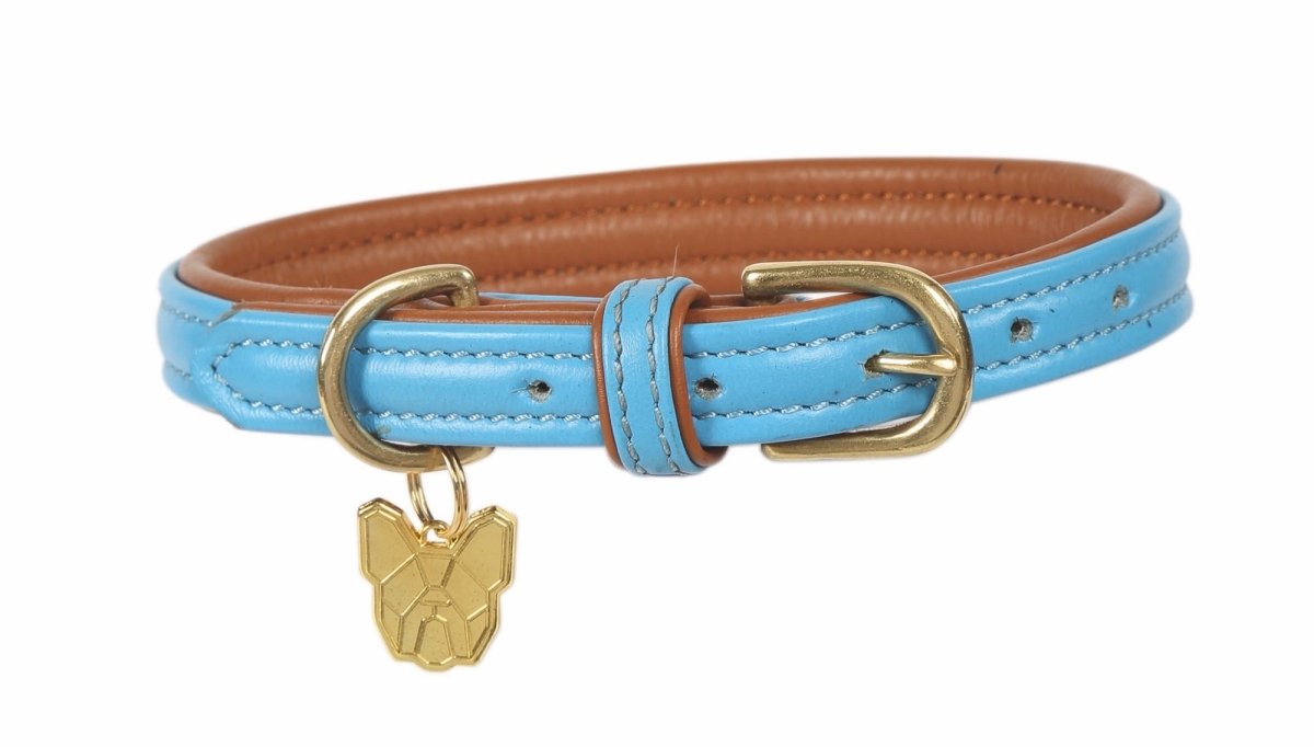 Digby & Fox Padded Leather Dog Collar - Aqua - L