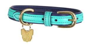 Digby & Fox Padded Leather Dog Collar - Aqua - L