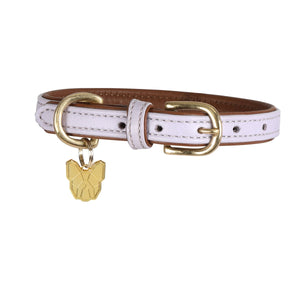 Digby & Fox Padded Leather Dog Collar - Aqua - L