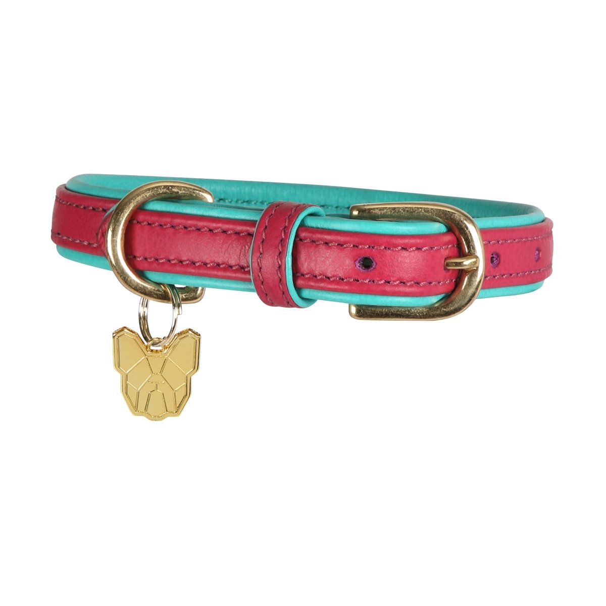 Digby & Fox Padded Leather Dog Collar - Aqua - L