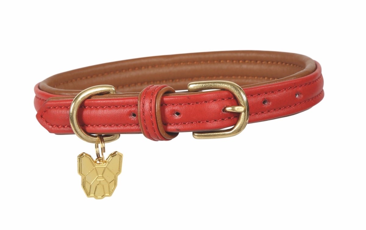 Digby & Fox Padded Leather Dog Collar - Aqua - L