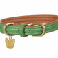 Digby & Fox Padded Leather Dog Collar - Aqua - L