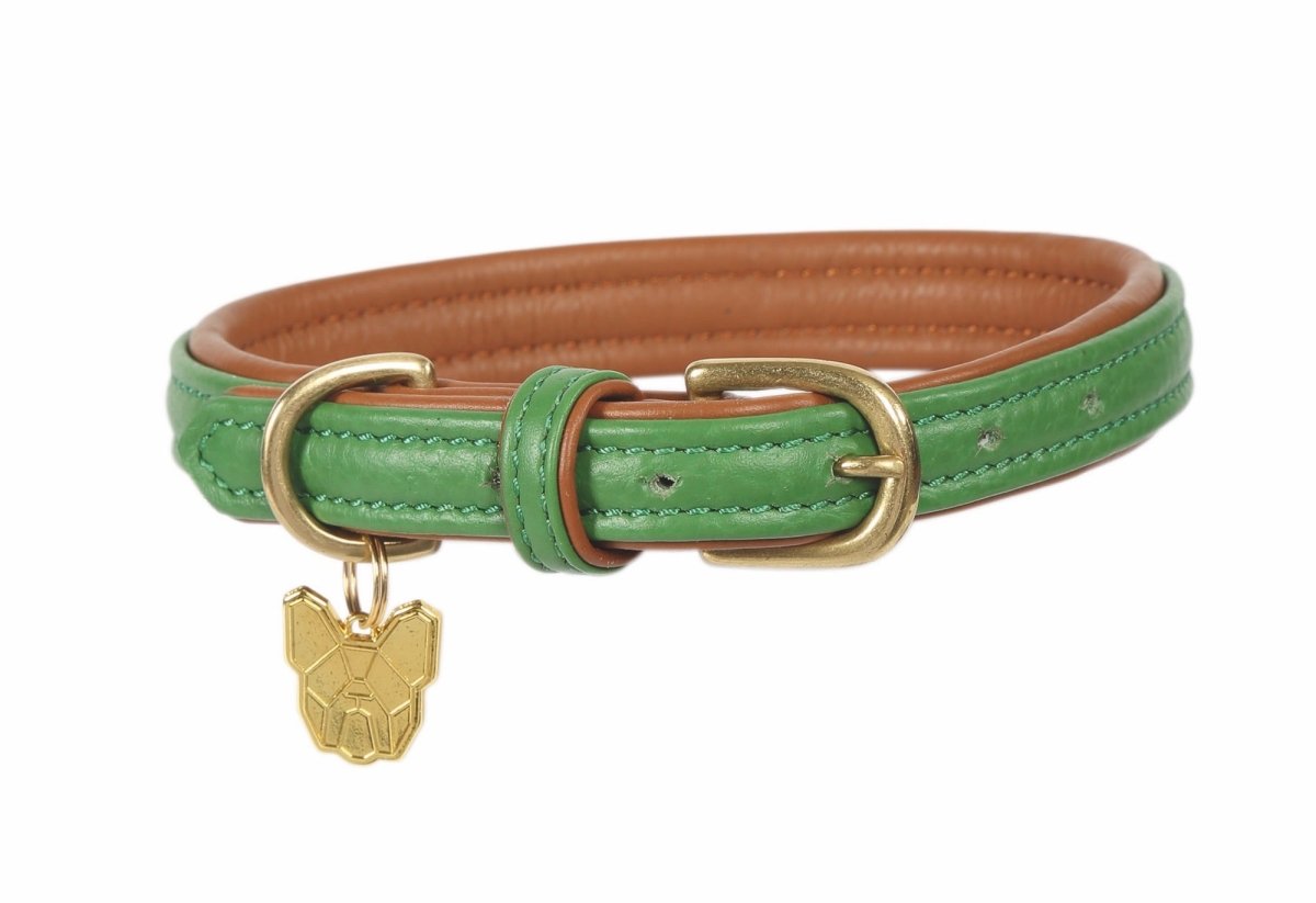 Digby & Fox Padded Leather Dog Collar - Aqua - L