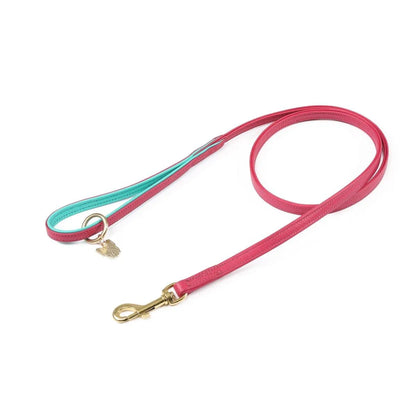 Digby & Fox Padded Leather Dog Lead - Aqua - 1.2CM