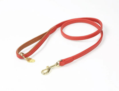 Digby & Fox Padded Leather Dog Lead - Aqua - 1.2CM