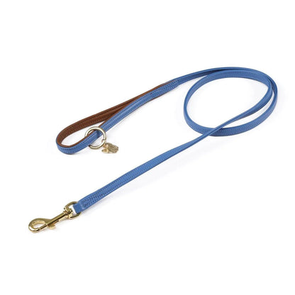 Digby & Fox Padded Leather Dog Lead - Aqua - 1.2CM