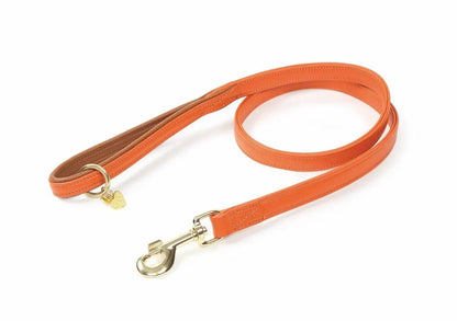 Digby & Fox Padded Leather Dog Lead - Aqua - 1.2CM