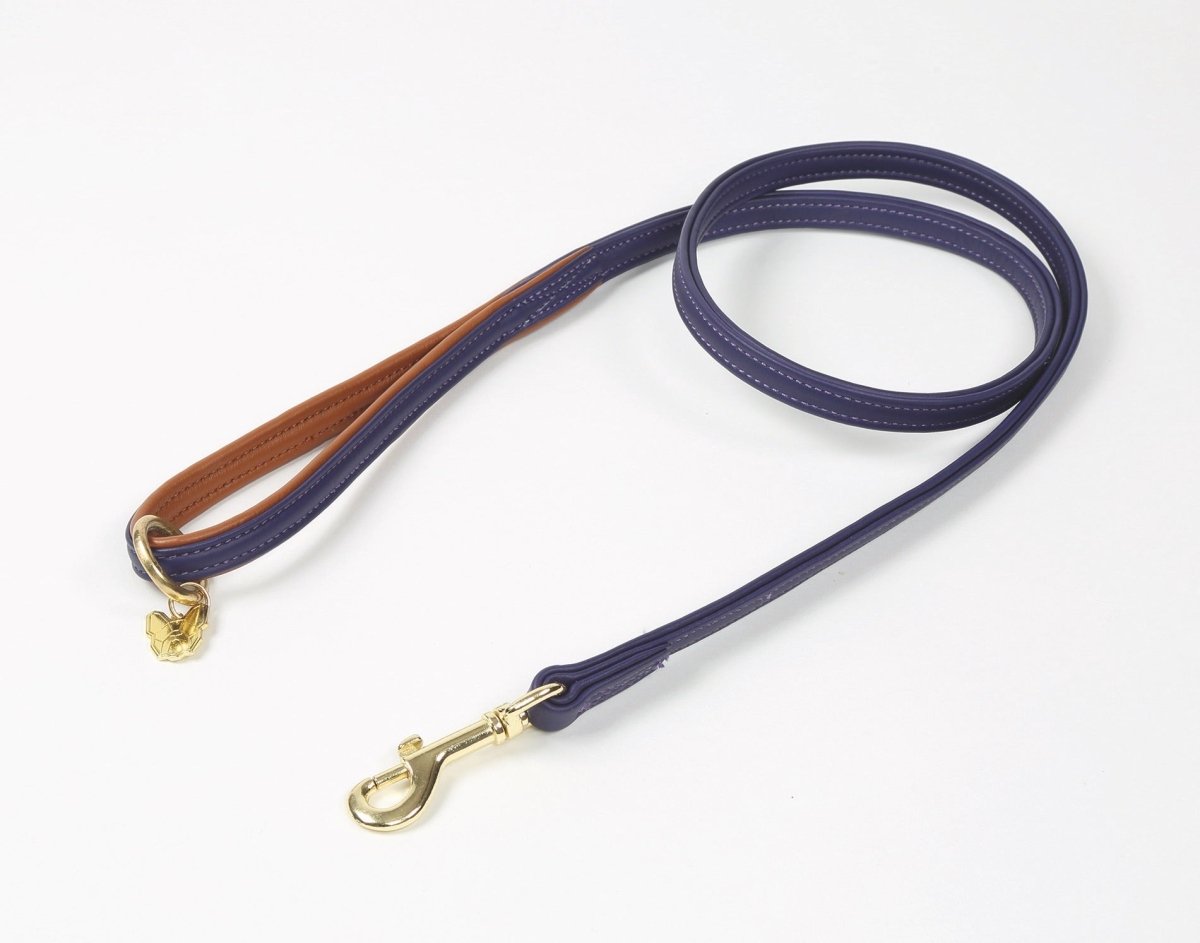 Digby & Fox Padded Leather Dog Lead - Aqua - 1.2CM