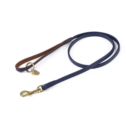 Digby & Fox Padded Leather Dog Lead - Aqua - 1.2CM