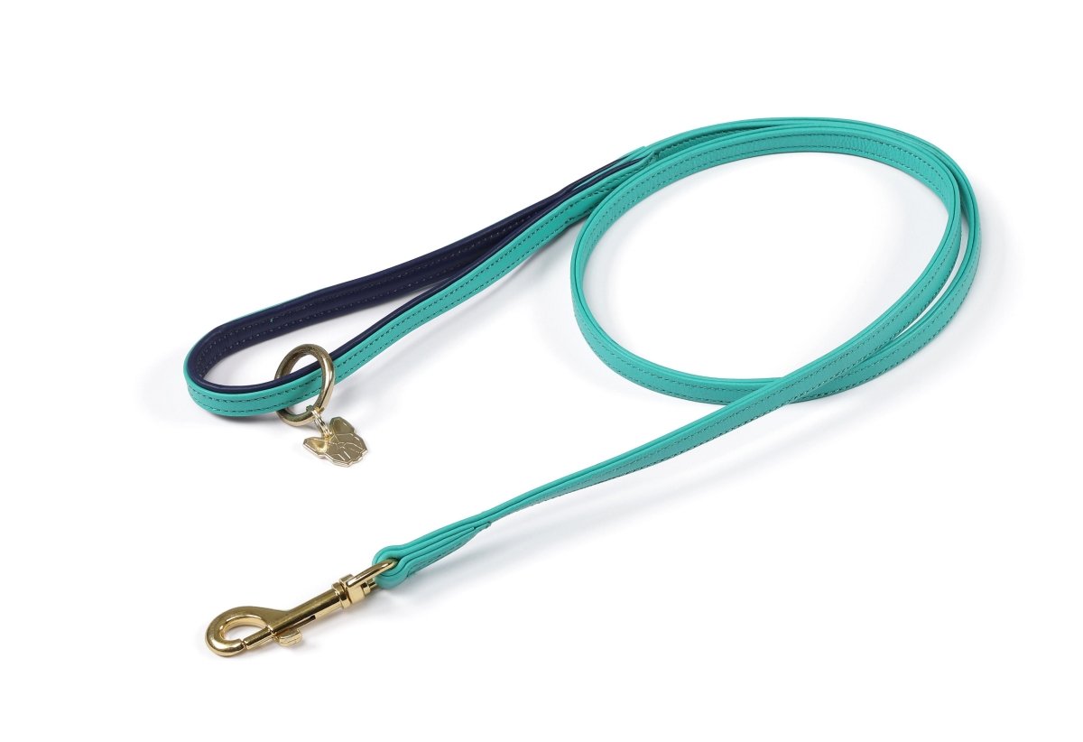 Digby & Fox Padded Leather Dog Lead - Aqua - 1.2CM