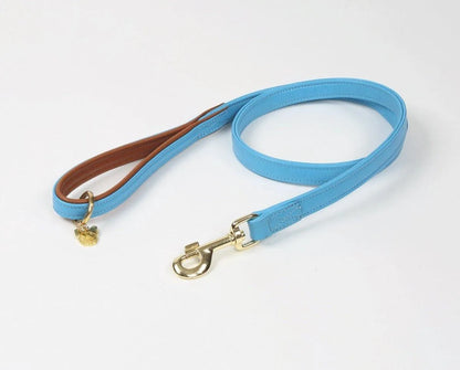 Digby & Fox Padded Leather Dog Lead - Aqua - 1.2CM