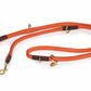 Digby & Fox Rolled Leather Training Lead - Black -