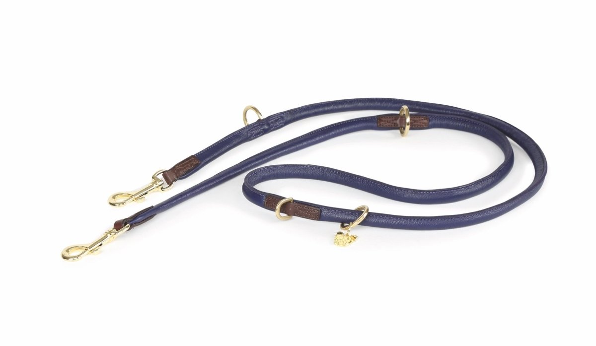 Digby & Fox Rolled Leather Training Lead - Black -