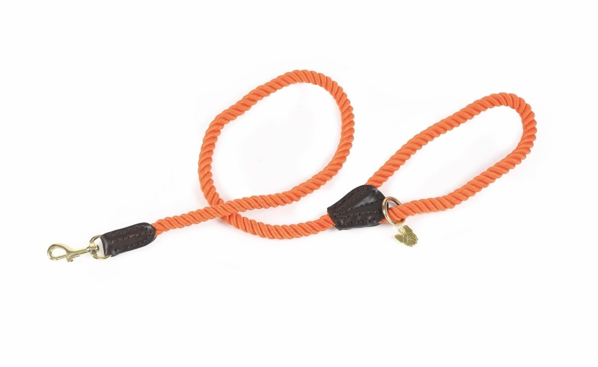 Digby & Fox Rope Dog Lead - Black -