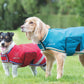 Digby & Fox Waterproof Dog Coat - Burgandy - L