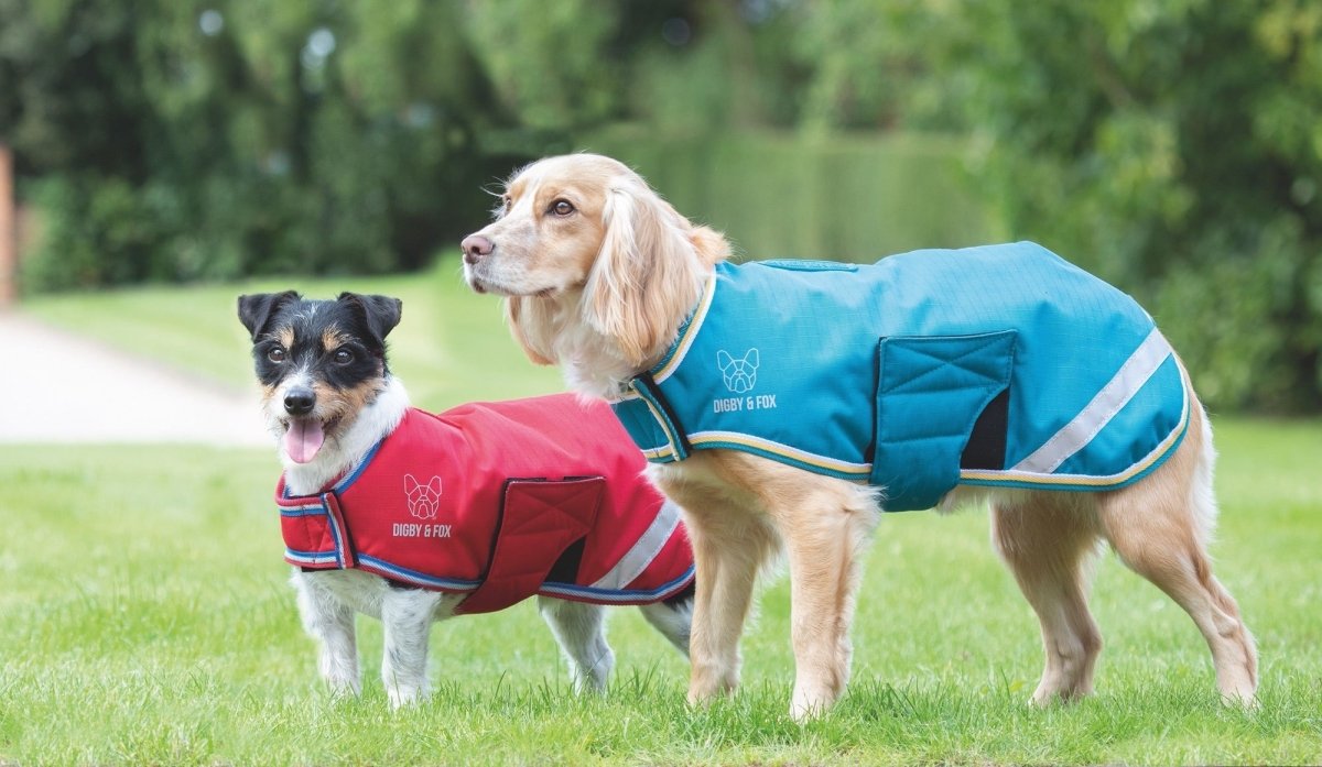 Digby & Fox Waterproof Dog Coat - Burgandy - L