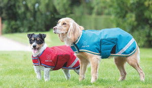 Digby & Fox Waterproof Dog Coat - Burgandy - L