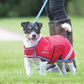 Digby & Fox Waterproof Dog Coat - Burgandy - L