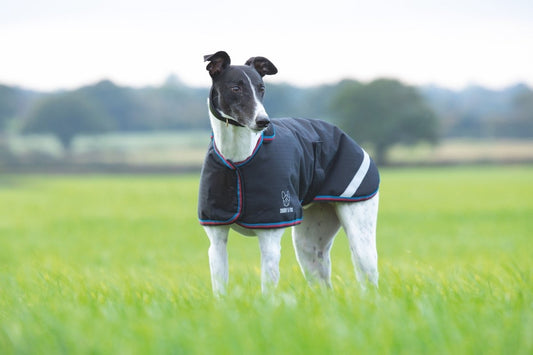 Digby & Fox Waterproof Greyhound Coat - Indigo - L