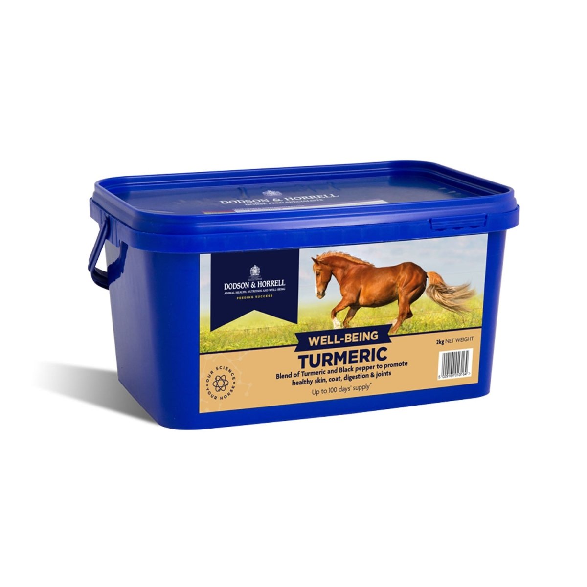 Dodson & Horrell Turmeric - 2Kg -