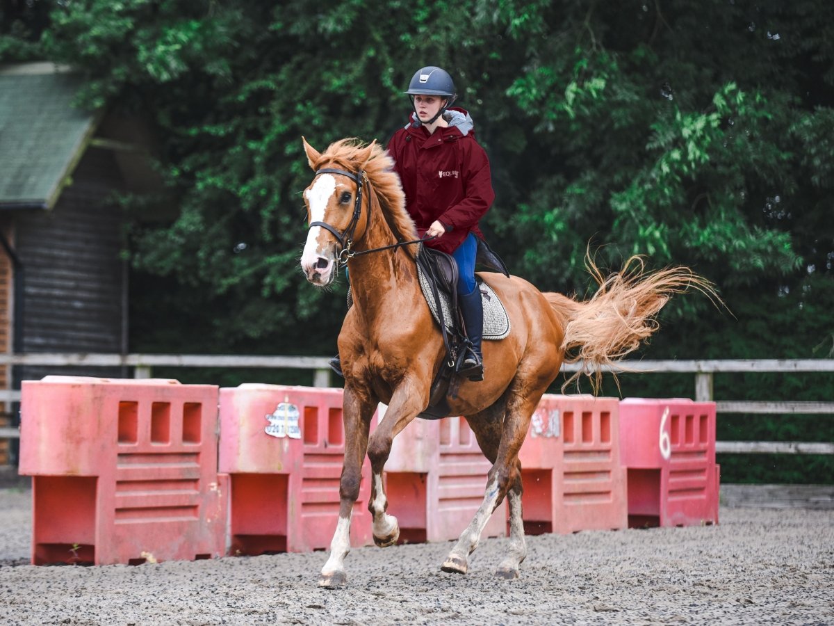 Burgundy waterproof coat fashion