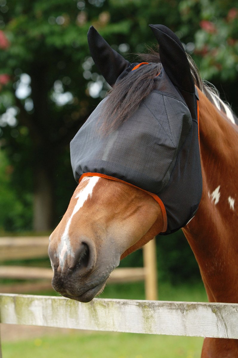 Equilibrium Field Relief Midi Fly Mask & Ears - Black/Orange - Extra Large