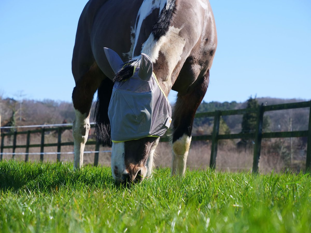 Equilibrium Field Relief Midi Fly Mask & Ears - Grey/Yellow - Large