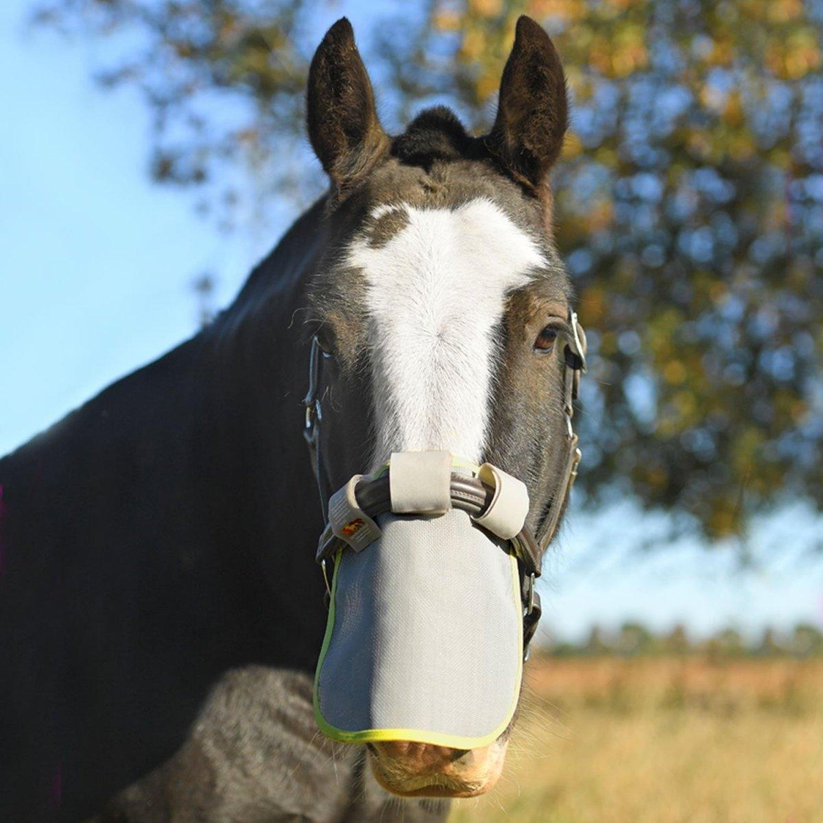 Equilibrium Field Relief Muzzle Protector - Grey/Yellow - Large