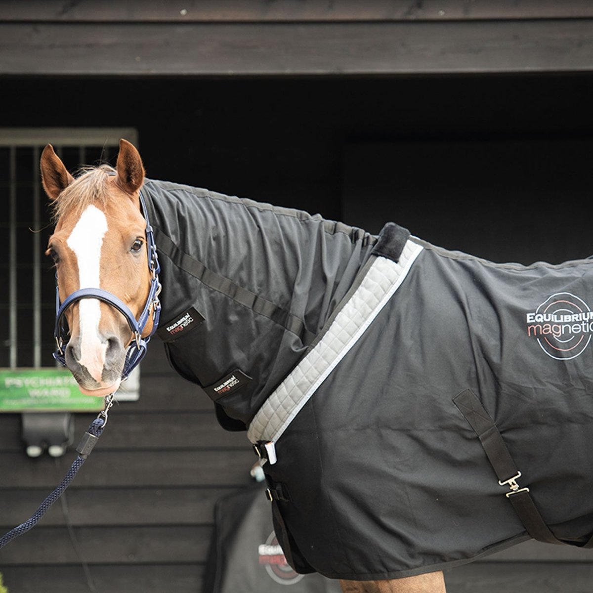 Equilibrium Magnetic Rug - Black/Grey - 6'0"