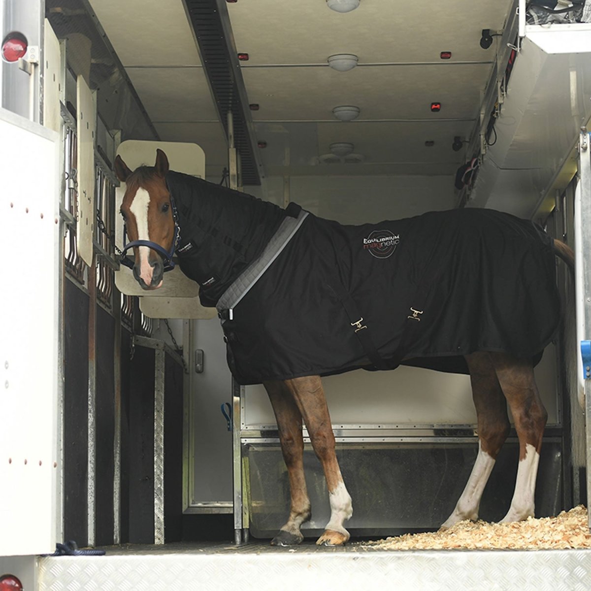 Equilibrium Magnetic Rug - Black/Grey - 6'3"