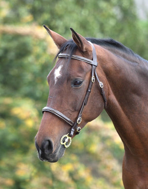 GARA Fancy Stitched Inhand Bridle - Black - Cob