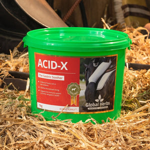 Global Herbs Acid-X - 1Kg -