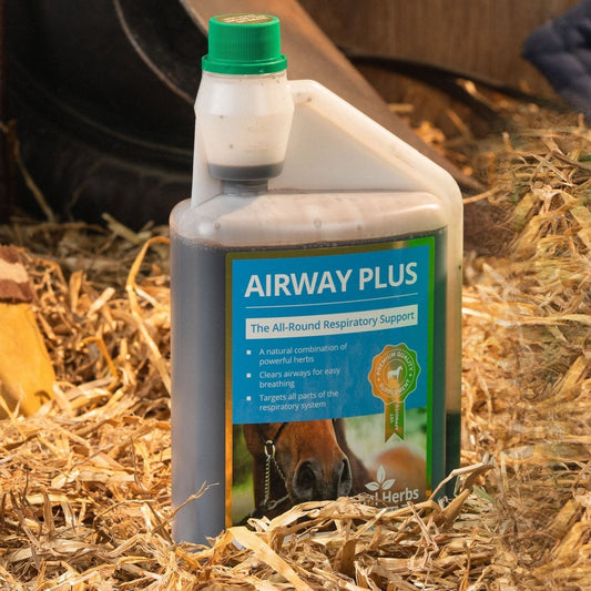 Global Herbs Airway Plus Liquid - 1Lt -