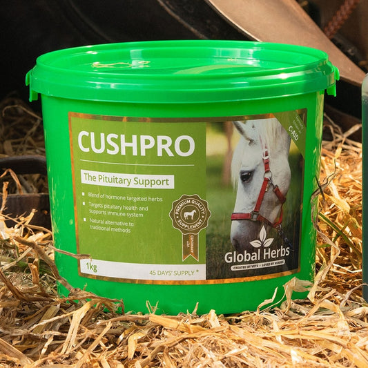 Global Herbs Cushpro - 1Kg -