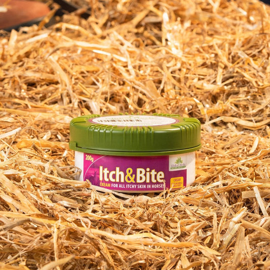 Global Herbs Itch & Bite Cream - 200Gm -