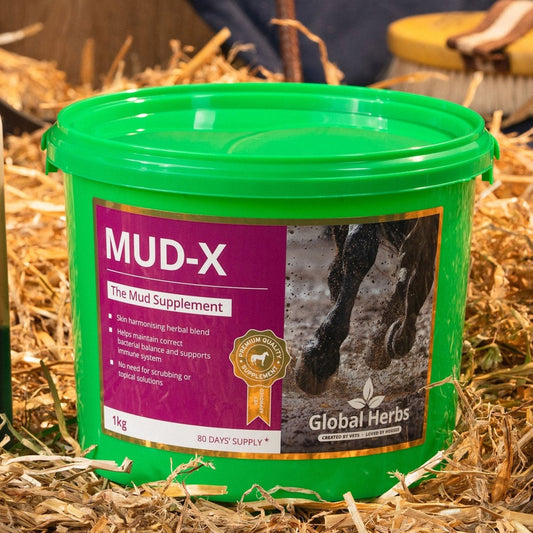 Global Herbs Mud-X - 1Kg -