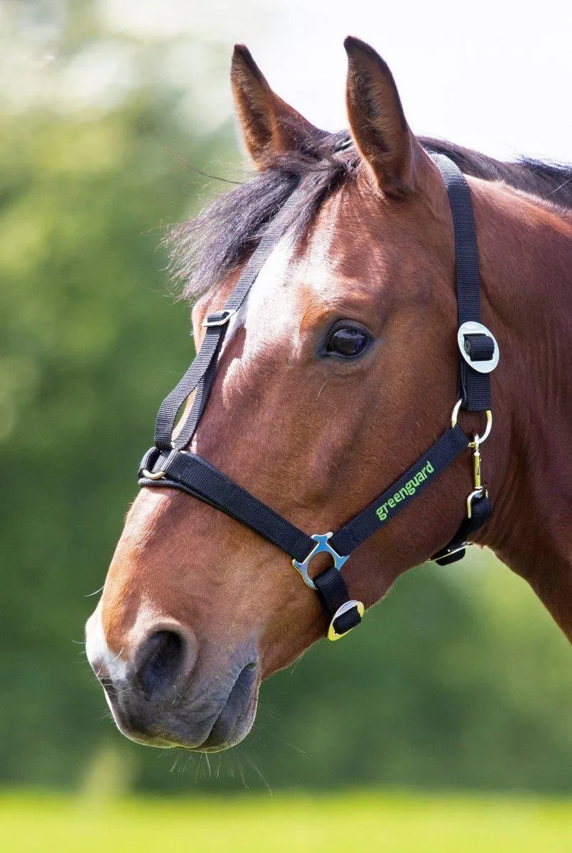 Greenguard Headcollar - Black - Cob