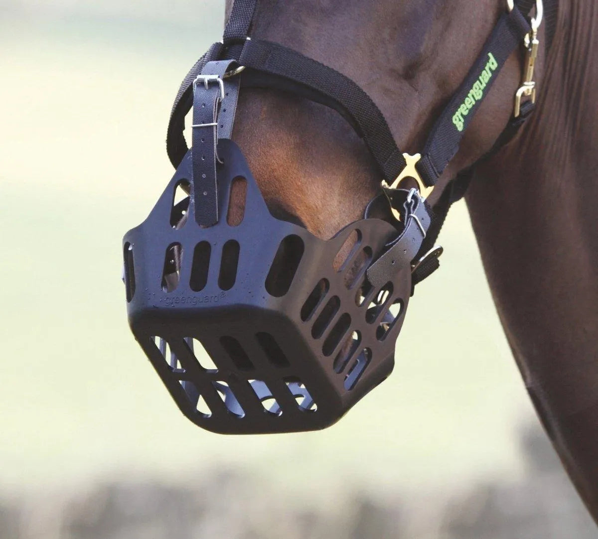 Greenguard Muzzle - Black - Cob