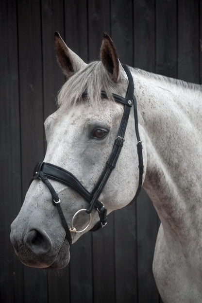 Henry James Dressage Bridle - Black - Cob