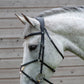 Henry James Mexican Grackle Bridle - Black - Cob