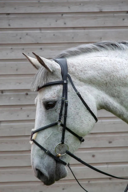 Henry James Mexican Grackle Bridle - Black - Cob